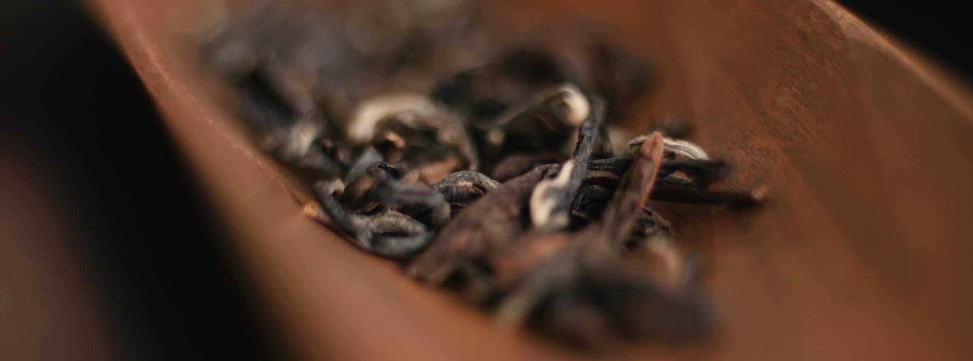 Oolong Tee