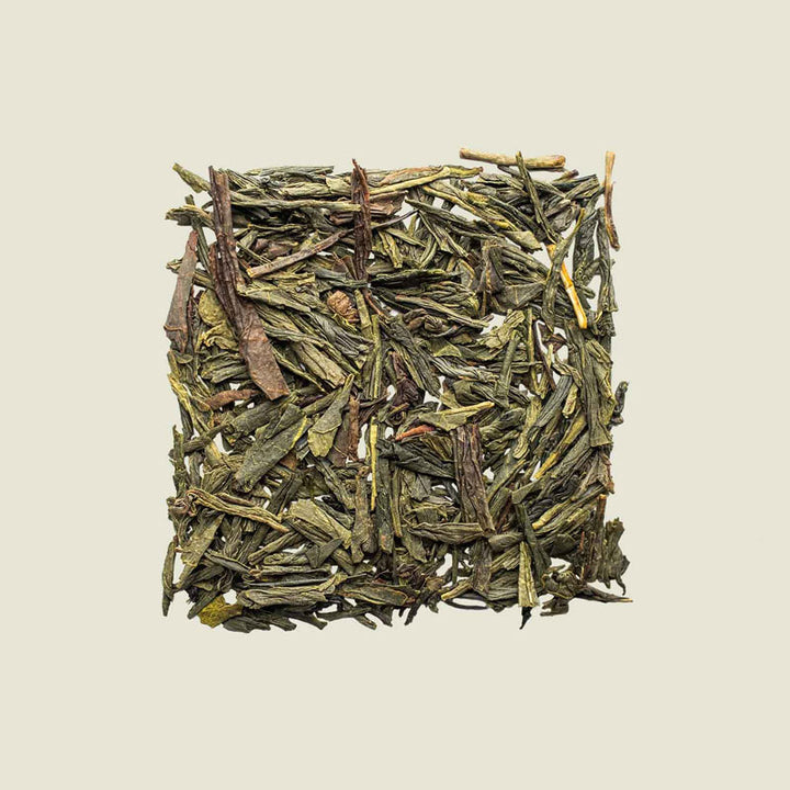 Lose Gabalong-Teeblätter in Draufsicht, gleichmäßig gerollt mit natürlicher GABA-Struktur – japanischer Oolong von Noema.