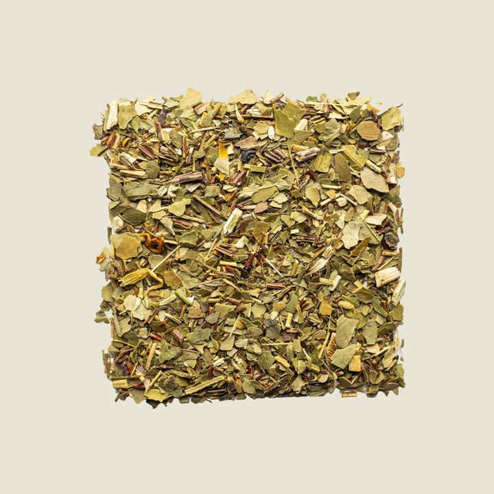 Grüner Tee Verdant lose ausgelegt, zarte Blätter mit silbrigen Spitzen, Draufsicht auf komplexe Struktur – Noema Tee.