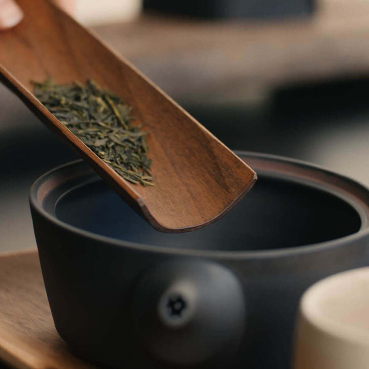 Moonlit Sencha grüne Teeblätter im Kyusu