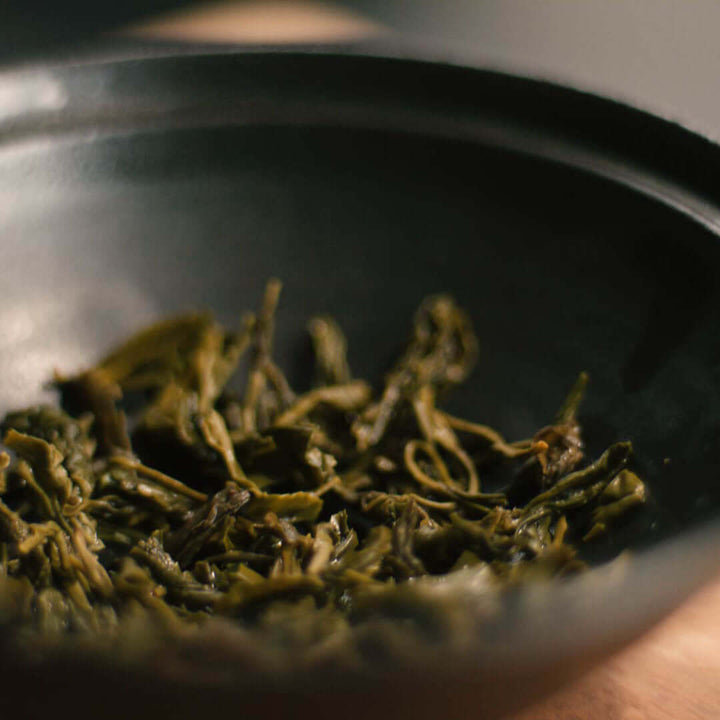 Palace Needle Grüntee nasse Blätter nach dem Aufguss