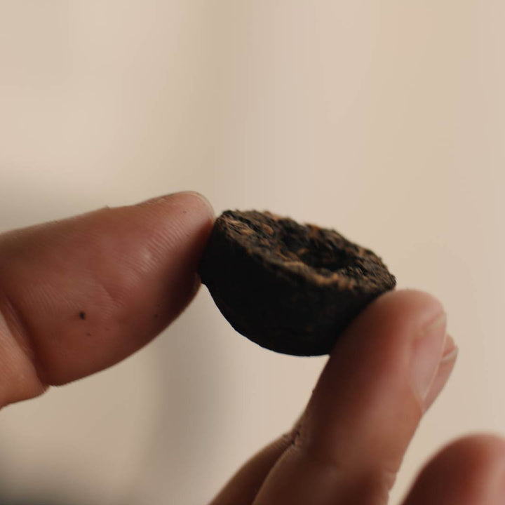 Nahaufnahme von Pu Erh Mini Tuo Cha, unaufgegossene Form