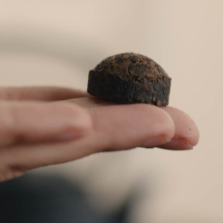 Pu Erh Mini Tuo Cha in der Hand, Nahaufnahme
