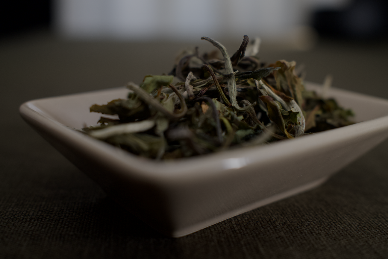 Tee richtig lagern: So bleibt das Aroma lange erhalten