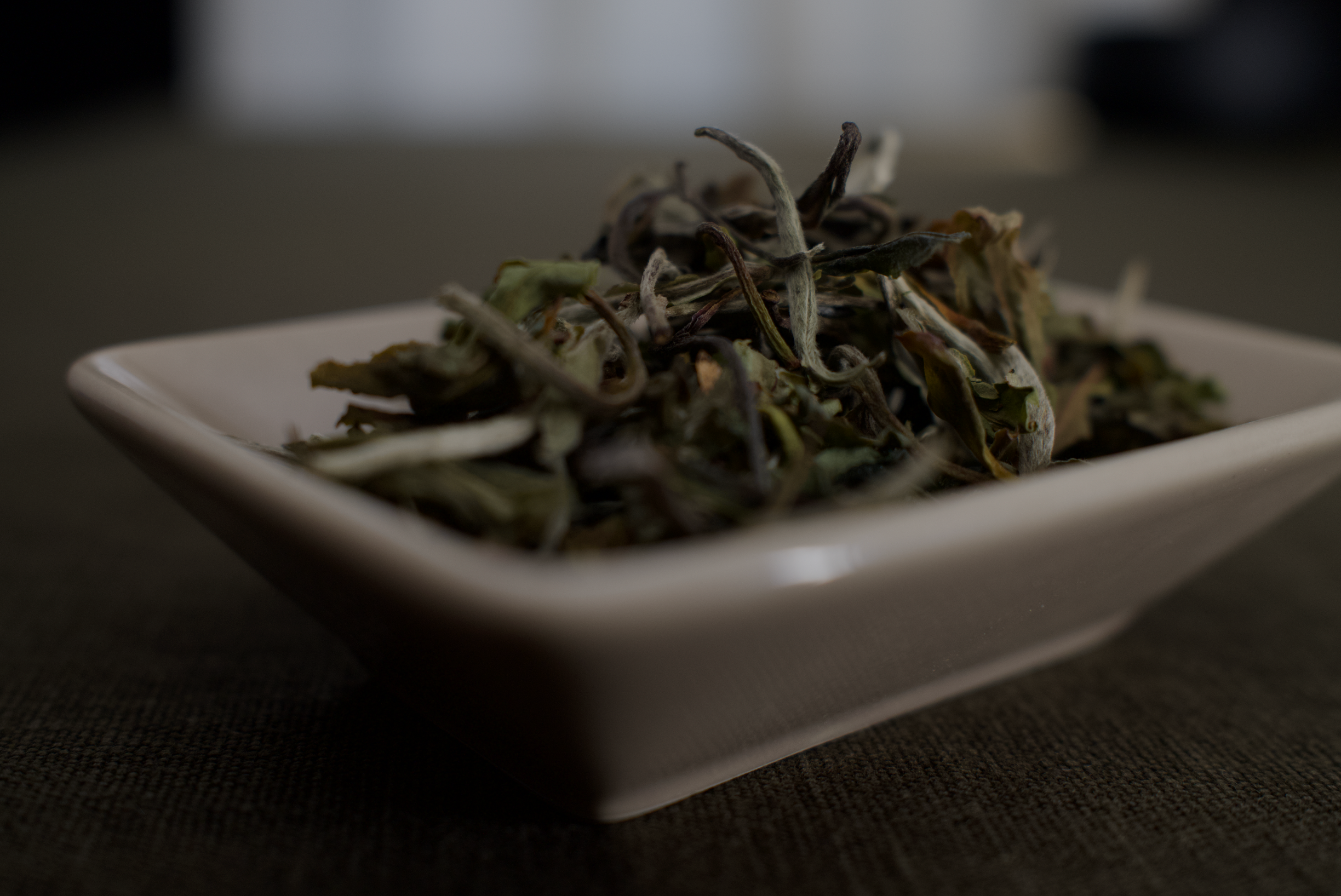 Tee richtig lagern: So bleibt das Aroma lange erhalten