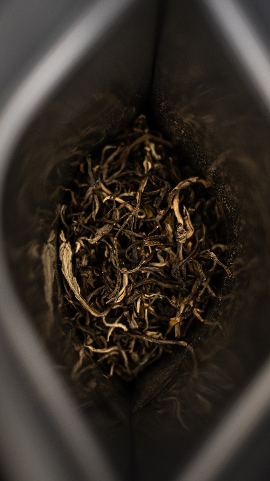 Tee richtig aufbewahren – so bleibt das Aroma erhalten