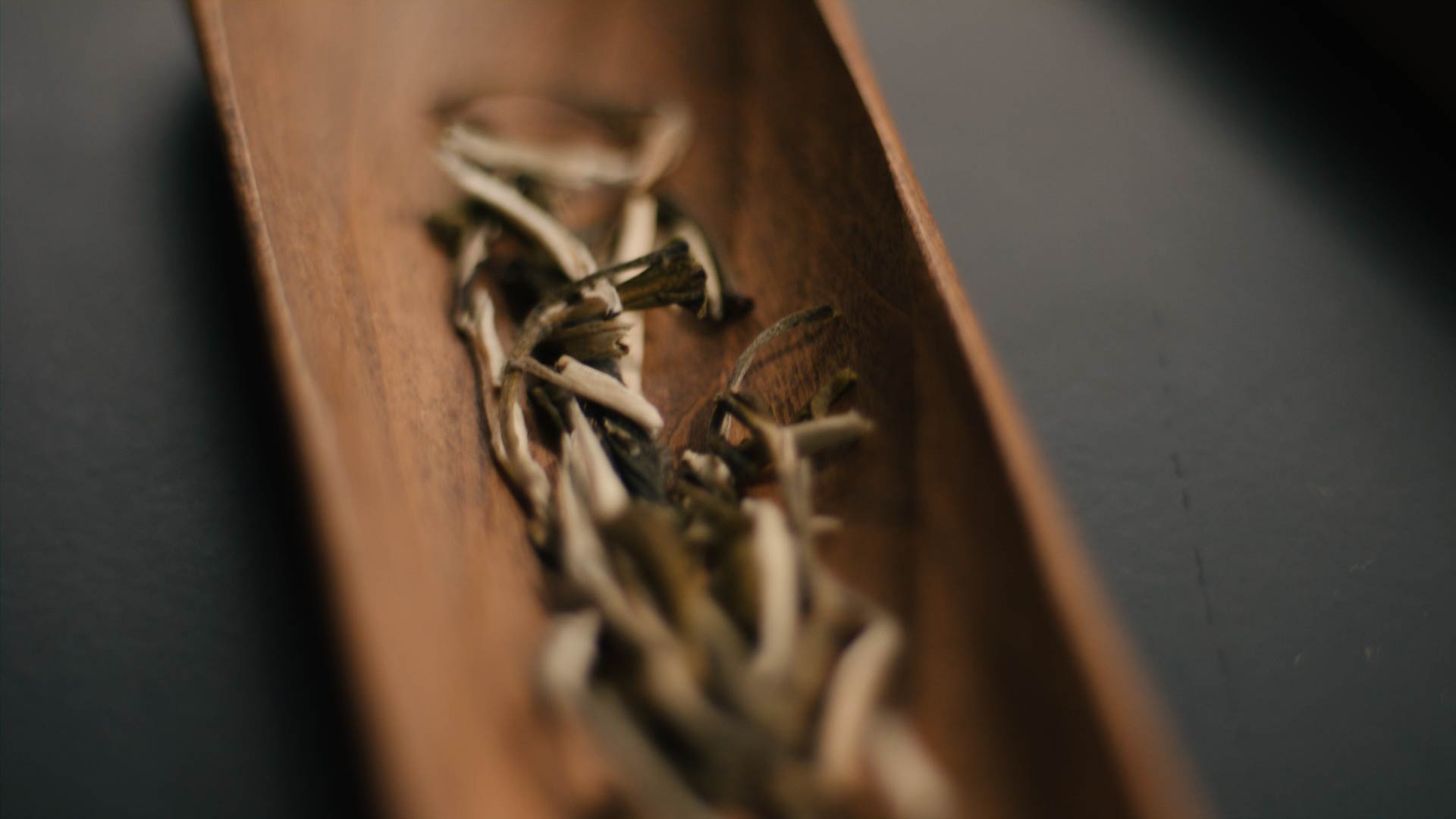 So lagerst du Tee richtig – damit er sein volles Aroma behält