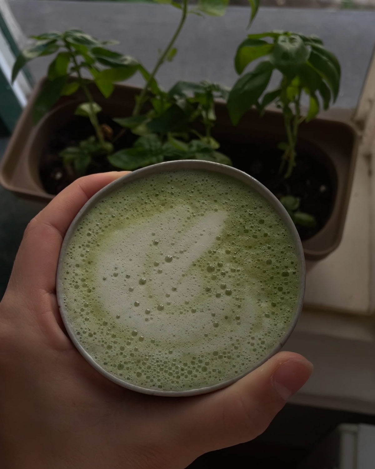 Matcha richtig zubereiten – Schritt für Schritt zum perfekten Genuss
