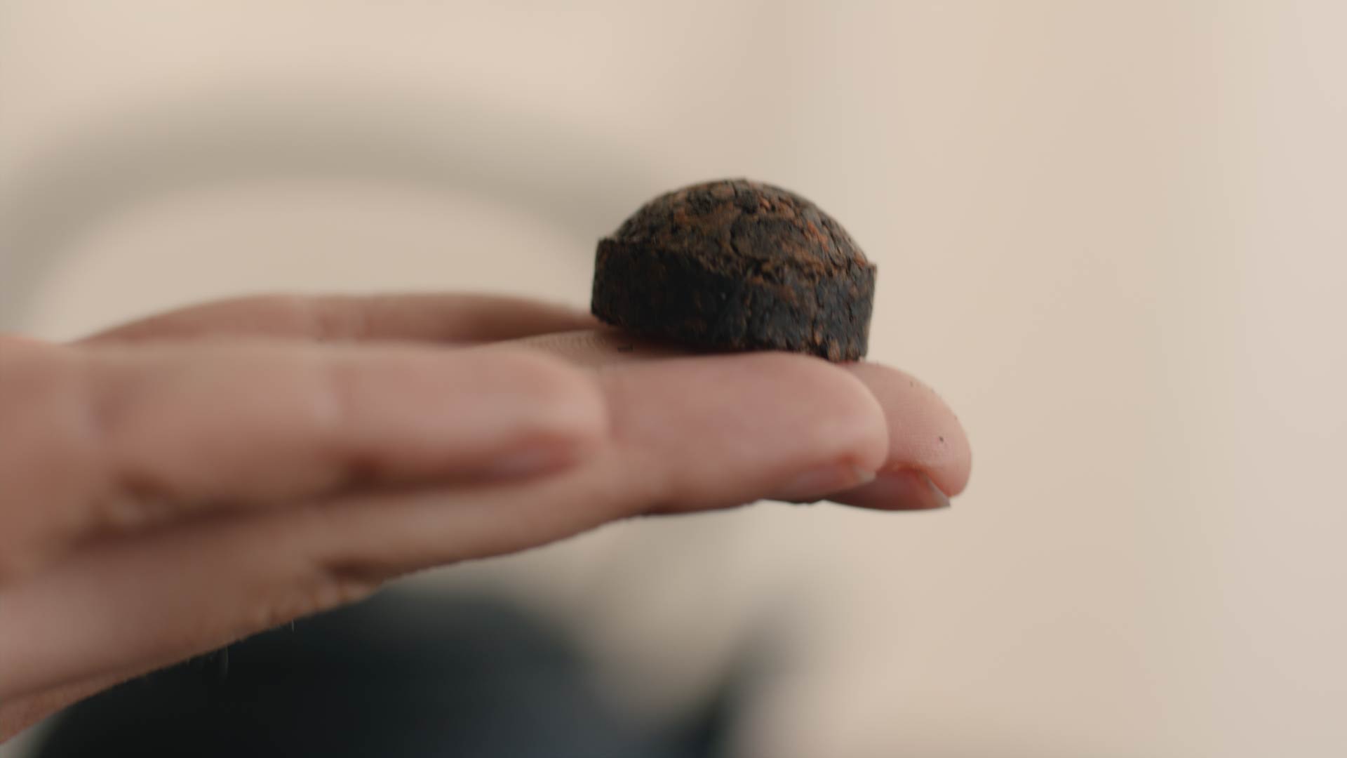 Pu-Erh-Tee: Wirkung, Reifung & Ratgeber für Einsteiger