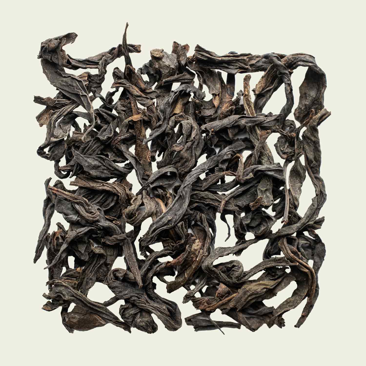 Flach fotografierte Da Hong Pao-Blätter, dunkel geröstet und leicht verdreht – intensiver Wuyi-Oolong von Noema.