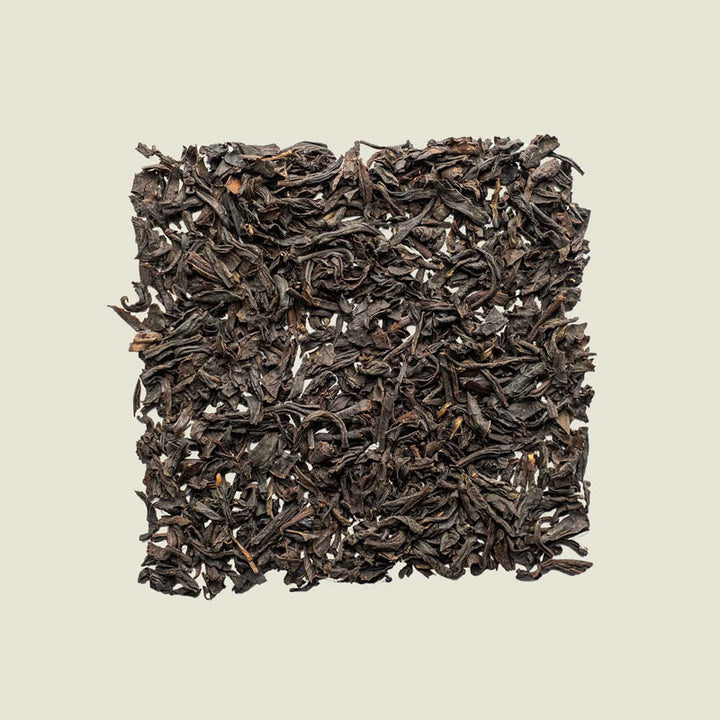 Keemun OP lose ausgelegt, feine, dunkle Schwarztee-Blätter mit leichtem Glanz – klassischer chinesischer Tee von Noema.