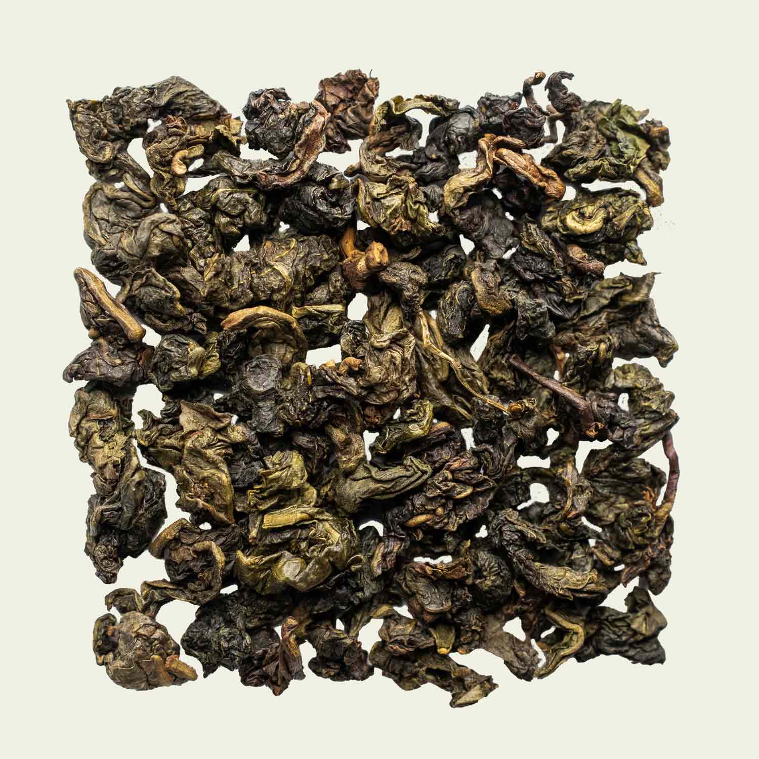 Milky Oolong lose ausgelegt, cremig anmutende Blätter mit zarten Rösttönen in der Nahaufnahme – Noema Spezialität.