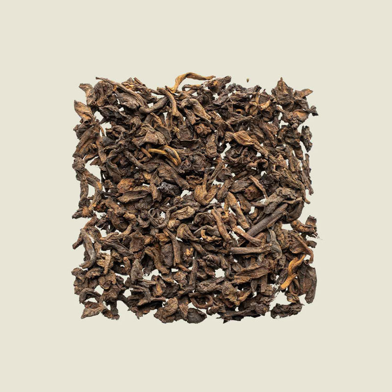 Gereifter Pu Erh aus Menghai, lose und dunkel strukturiert in Draufsicht – 5 Jahre gereift, Noema Spezialität.