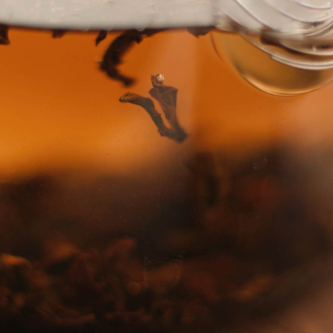 Schwarzer Tee (Darjeeling Grey) zeigt kräftige Farbe in Teekanne