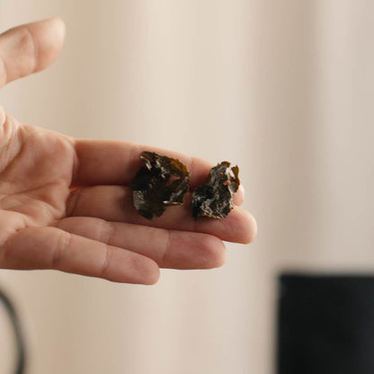 Milky Oolong Teeblatt in der Hand gehalten