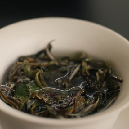 Pai Mu Tan Weiße Teeblätter im Gaiwan mit Wasser
