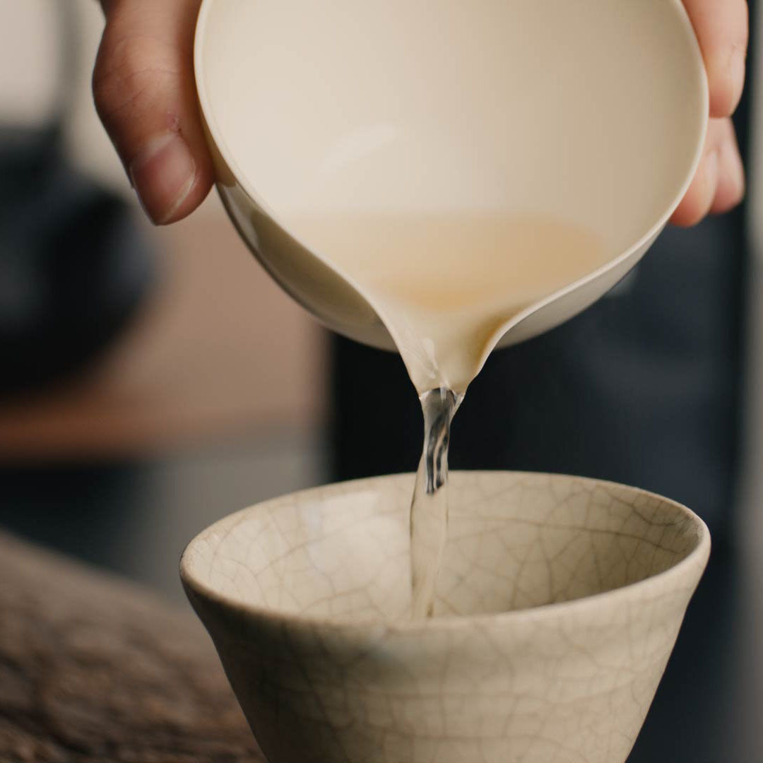 Pai Mu Tan Weißer Tee wird in Tasse eingeschenkt